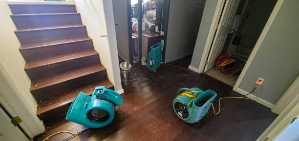 Best Flood restoration services  in Walce, LA