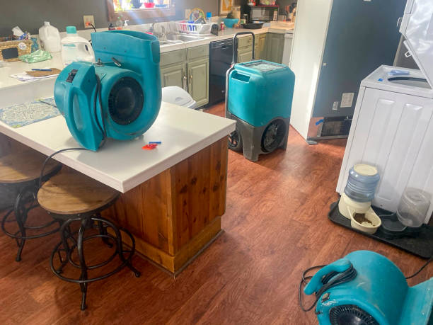 Walce, LA Water damage restoration Pros