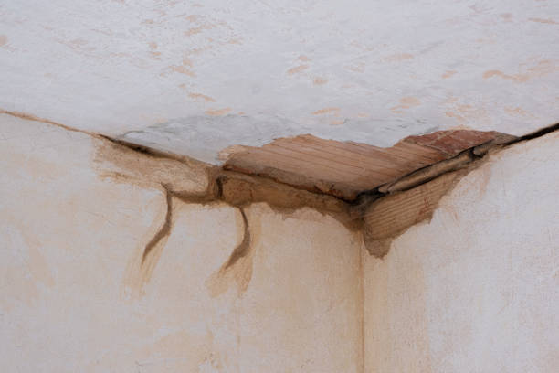 Best Water damage contractors near me  in Walce, LA