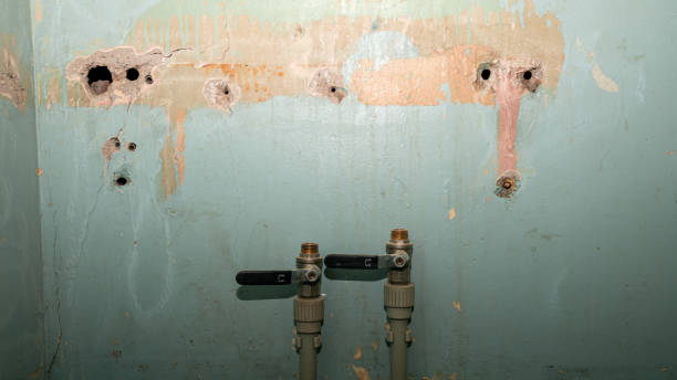 Best Flooded house restoration  in Walce, LA
