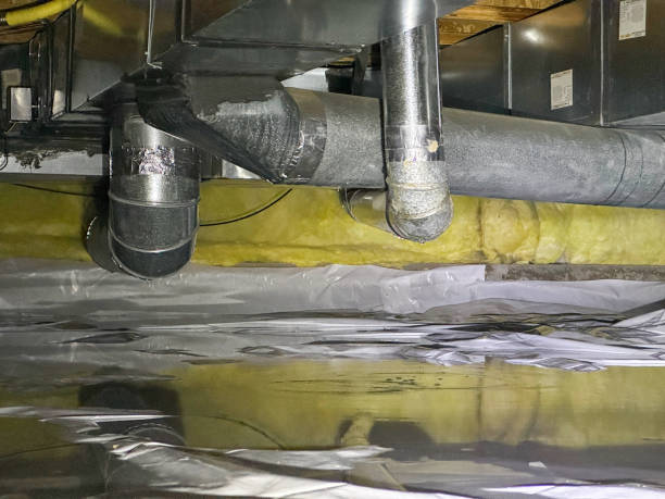 Best Local water damage restoration  in Walce, LA