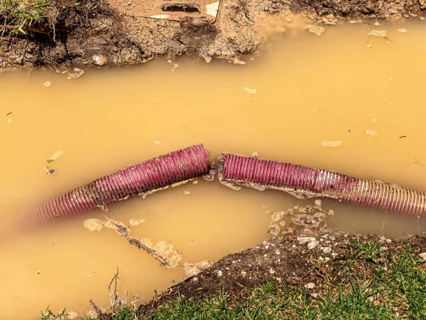 Best Sewage cleanup and water damage restoration  in Walce, LA