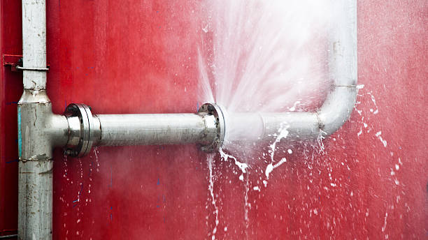 Best Basement water damage restoration  in Walce, LA