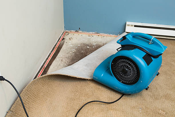 Best Water damage restoration near me  in Walce, LA